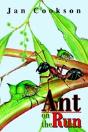 Ant On The Run - Preview