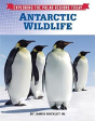 Antarctic Wildlife - Preview