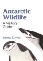 Antarctic Wildlife - Preview