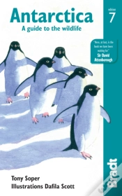 Capa do artigo Antarctica
