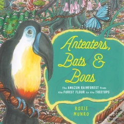 Capa do artigo Anteaters, Bats & Boas