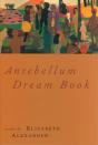 Antebellum Dream Book - Preview