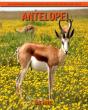Antelope! An Educational Children'S Book About Antelope With Fun Facts - Preview