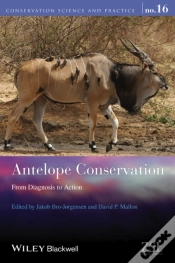 Capa do artigo Antelope Conservation