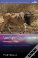 Antelope Conservation