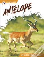Antelope
