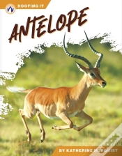 Capa do artigo Antelope