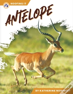 Capa do artigo Antelope