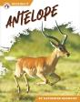 Antelope - Preview