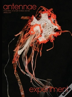 Capa do artigo Antennae #47 Experiment