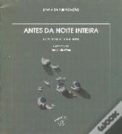 Antes da Noite Inteira