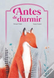Capa do artigo Antes De Durmir
