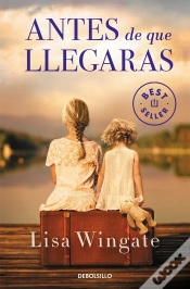 Capa do artigo Antes De Que Llegaras