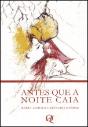Antes que a noite caia - Preview