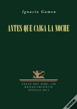 Capa do artigo Antes Que Caiga La Noche