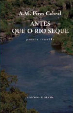 Capa do artigo Antes Que o Rio Seque