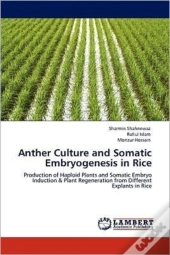 Anther Culture And Somatic Embryogenesis In Rice