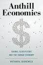 Anthill Economics - Preview