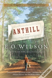 Capa do artigo Anthill
