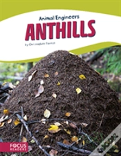 Capa do artigo Anthills