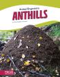 Anthills - Preview