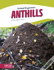 Capa do artigo Anthills