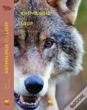 Capa do artigo Anthologie Du Loup