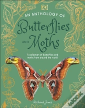 Anthology Of Butterflies And Moths