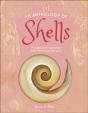 Anthology Of Shells - Preview