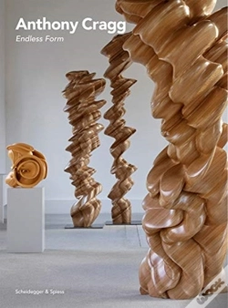 Capa do artigo Anthony Cragg