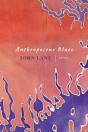 Anthropocene Blues - Preview