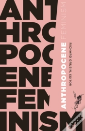 Capa do artigo Anthropocene Feminism