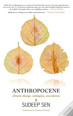 Capa do artigo Anthropocene