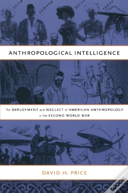 Capa do artigo Anthropological Intelligence