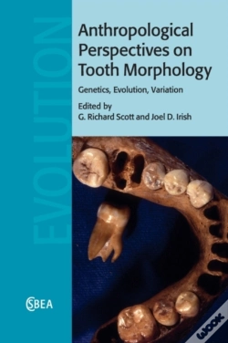 Capa do artigo Anthropological Perspectives On Tooth Morphology
