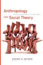 Anthropology And Social Theory - Preview