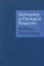 Anthropology In Theological Perspective - Preview