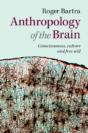 Anthropology Of The Brain - Preview