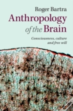 Capa do artigo Anthropology Of The Brain