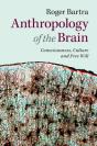 Anthropology Of The Brain - Preview