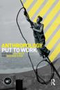 Anthropology Put To Work - Preview