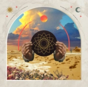 Capa do artigo Antibloom - Vinil