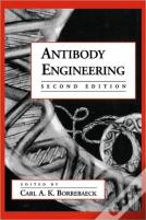 Antibody Engineering