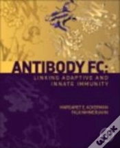 Capa do artigo Antibody Fc