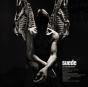 Antidepressants (Deluxe Edition) - CD - Preview