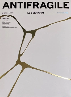 Capa do artigo Antifragile - CD