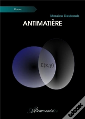 Capa do artigo Antimatiere