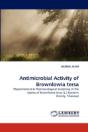 Antimicrobial Activity Of Brownlowia Tersa - Preview