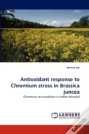 Capa do artigo Antioxidant Response To Chromium Stress In Brassica Juncea