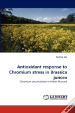Capa do artigo Antioxidant Response To Chromium Stress In Brassica Juncea